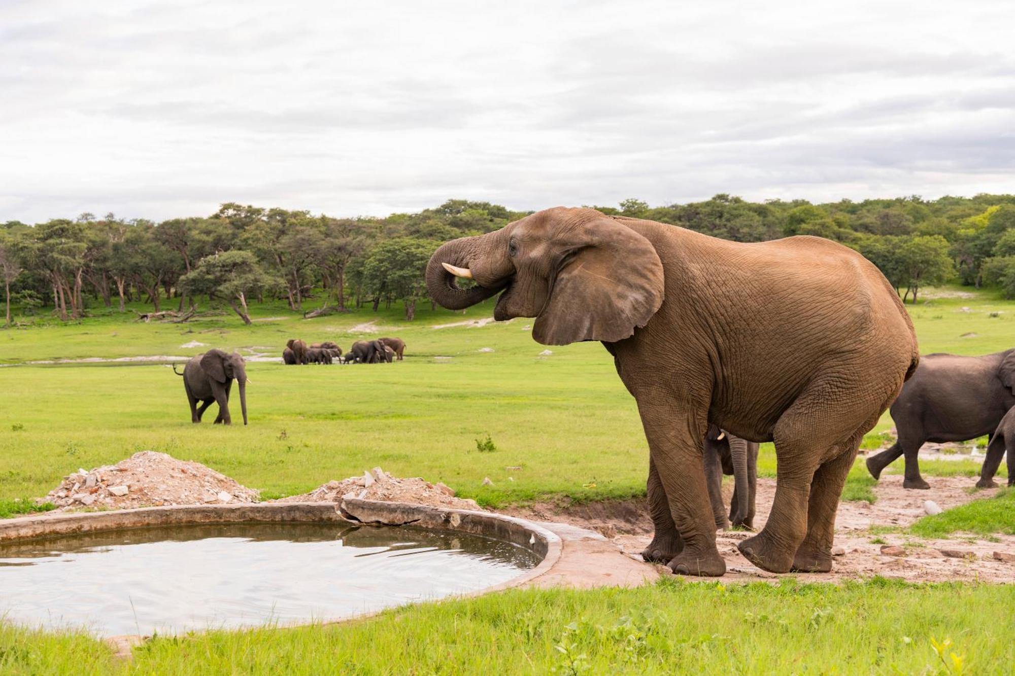 Hwange Safari Lodge Dete Kültér fotó