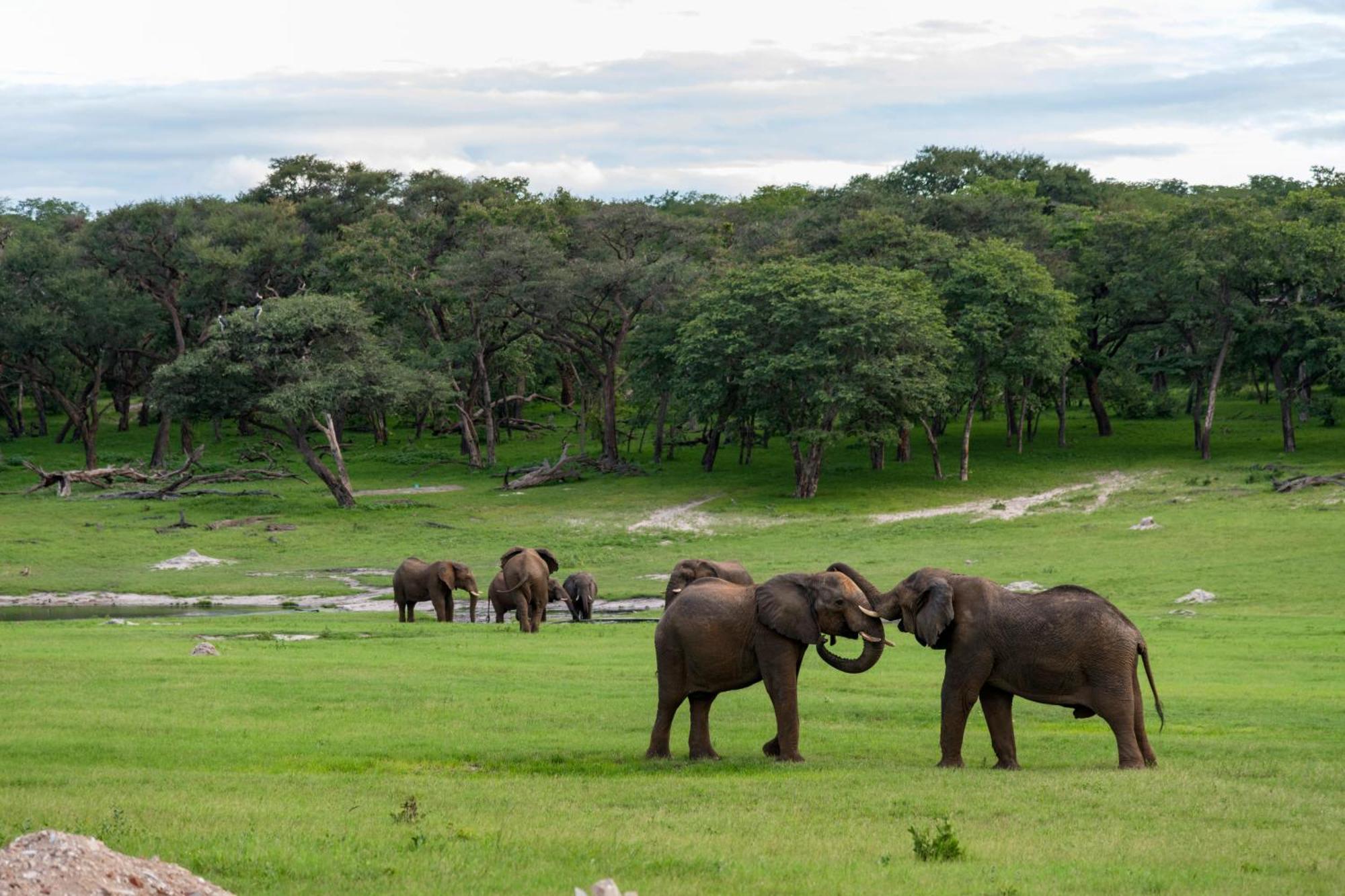 Hwange Safari Lodge Dete Kültér fotó